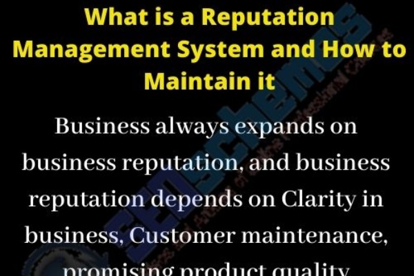 What is a Reputation Management System and How to Maintain it